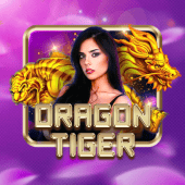 Dragon Tiger Lucky Bingo