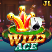Wild Ace Lucky Bingo slot